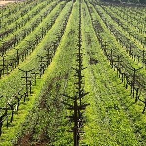 Meet your Posher, Jack